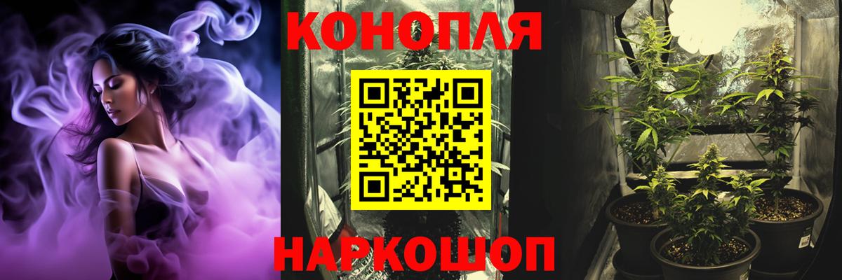 Медногорск  Каннабис сатива  Вход с VPN  Бошки Шишки семена 